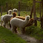 Stacja Natura * Радом