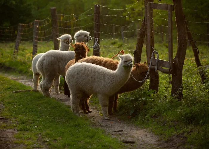 Stacja Natura * Radom